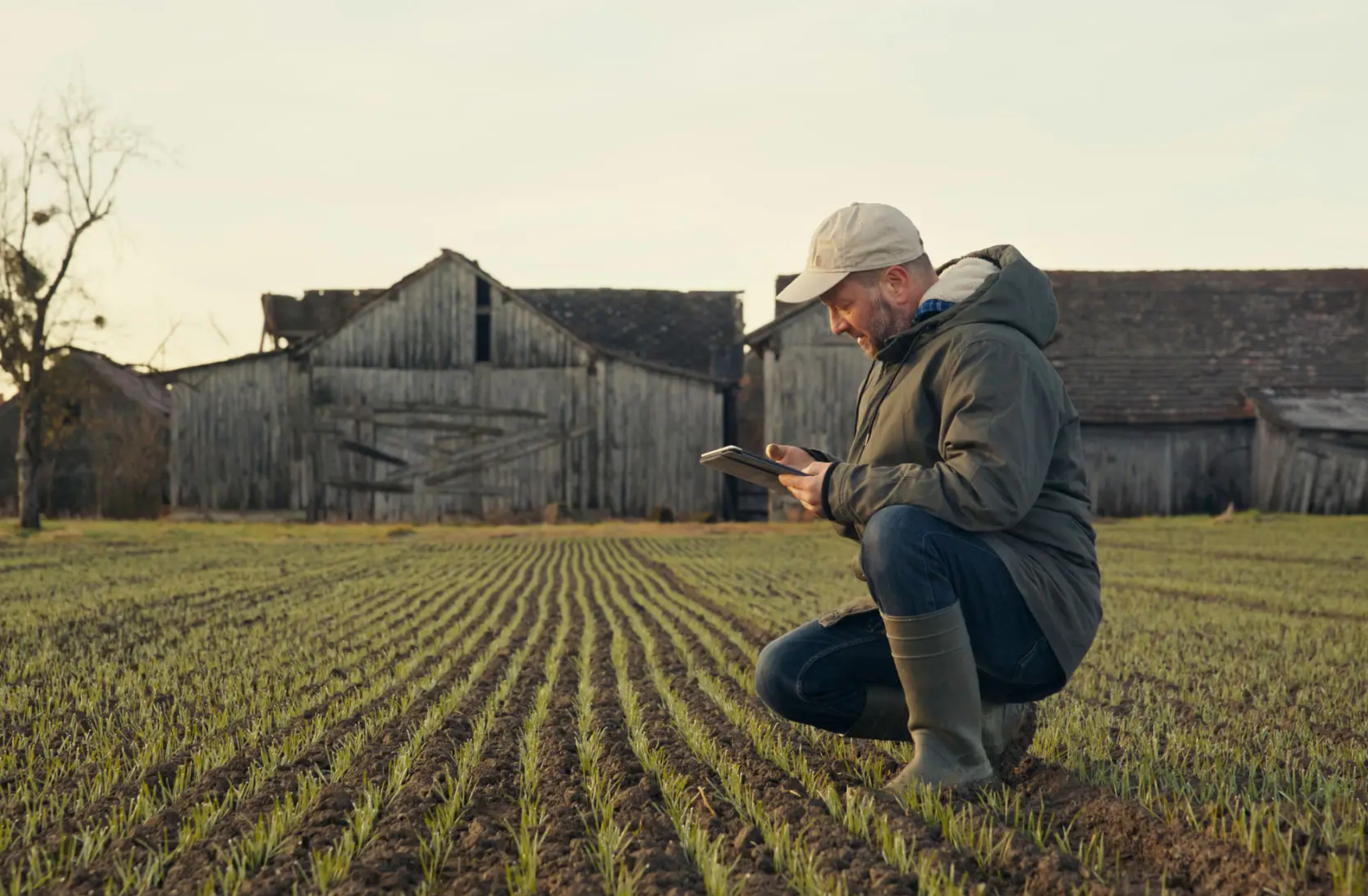 Farmer using tablet in field near barn.